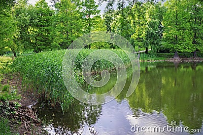 Summer landscape. Magic place in the park. Relaxation corner Stock Photo