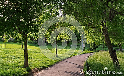 Summer landscape. Alley in the park. Magic place. Relaxation corner Stock Photo