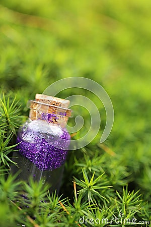 Magic Potion.Bottle with purple shiny glittering liquid in green moss on blurred green forest background.Magic and fairy Stock Photo