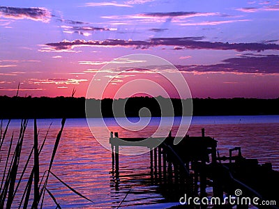 Magic purple sunset in Texas USA and trees silhouettes Stock Photo