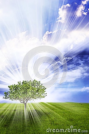 Magic tree Stock Photo