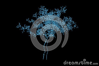 Magic tree 3D rendered xray blue Stock Photo