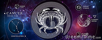 Modern magic witchcraft card with astrology Cancer zodiac sign. Realistic hand drawing crab illustration. Zodiac characteristic Vector Illustration