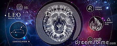 Modern magic witchcraft card with astrology Leo zodiac sign. Realistic hand drawing lion head. Zodiac characteristic Vector Illustration