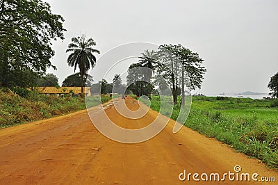 Magical Africa Stock Photo