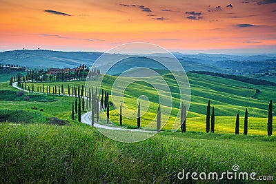 Famous Tuscany landscape with curved road and cypress, Italy, Europe Stock Photo