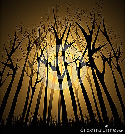 magical Dark forest Vector Illustration