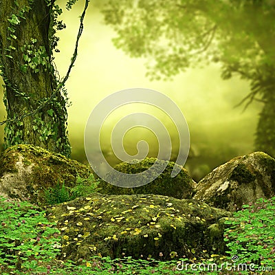 Magical Fairy Tale Forest Opening Stock Photo