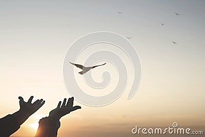 Magical moment of a person who frees a bird in the sky Stock Photo