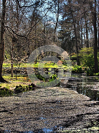 A magical park full of trees and flowers-Bodnant Garden is a National Trust property near Tal-y-Cafn, Conwy, Wales Stock Photo