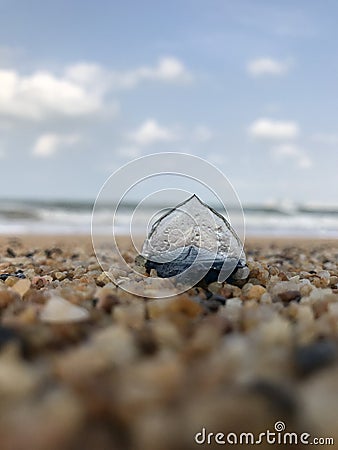 A magical shell is like a small sailing boat Stock Photo