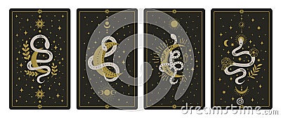 Magical snakes tarot cards. Occult hand drawn tarot cards, esoteric spiritual snakes wisdom symbol cards vector Vector Illustration
