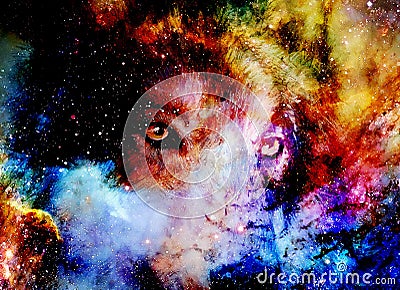 Magical space wolf, multicolor computer graphic collage Stock Photo