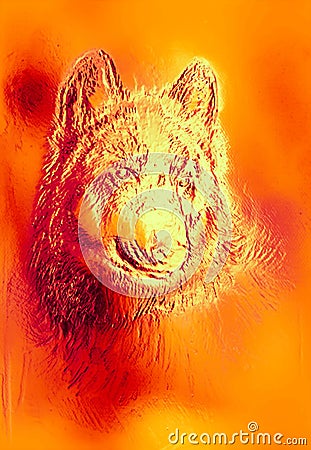 Magical space wolf, multicolor computer graphic collage. Metal and fire effect. Stock Photo