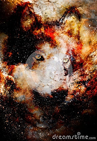 Magical space wolf, multicolor computer graphic collage. Space fire. Stock Photo