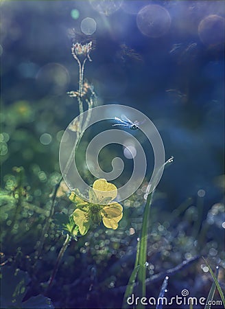 Magical spring, close up Stock Photo