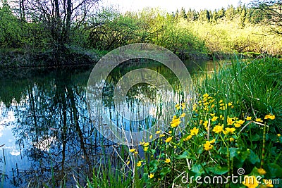 Magical spring sunny day Stock Photo