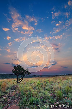 Magical sunset in Africa with a lone tree on a hill and louds Stock Photo