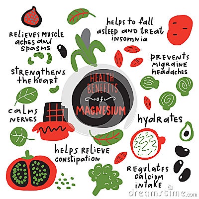 Magnesium health benefits.Illustration of magbesium rich foods and its benefits. Vector. Vector Illustration