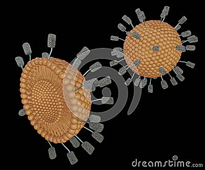 Magnetoliposome is liposome with coated magnetic nanoparticles attached outside of the lipid surface Stock Photo