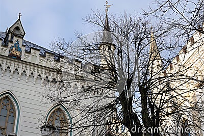 Riga, Latvia, November 2019. Autumn tree among gothic architecture. Editorial Stock Photo