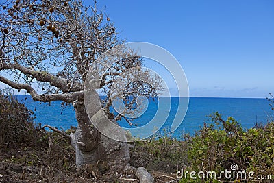 Expedition in the region of ramena madagascar Stock Photo