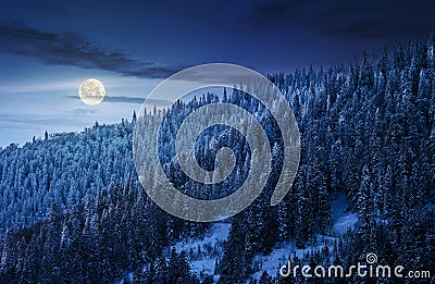 Magnificent forest in winter mountains at night Stock Photo