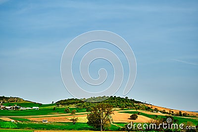 Magnificent green grass agricultural field Stock Photo