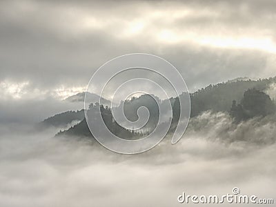 Magnificent hilly landscape in gentle pink sunrise. Misty valley Stock Photo