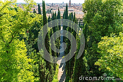 Giusti Garden in Verona, Italy Stock Photo