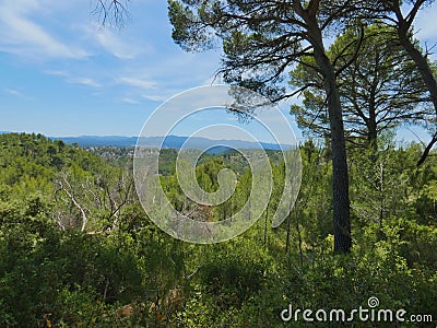 Magnificent landscape of Provence near Aix en Provence with abundant vegetation, hills and mountains Stock Photo