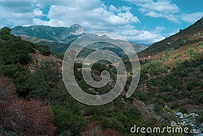 Magnificent landscape straight at the entrance in Sequoia National Park Stock Photo