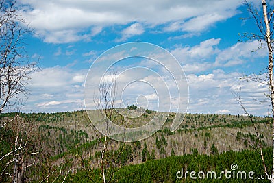 Magnificent panoramic view of the forest and beautiful blue sky. Stock Photo