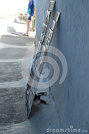 Magnificent Shot Of A Refugee Cat Behind An Exhibitor Of Postcards From A Souvenir Shop In Pyrgos Kallistis On The Island Of Santo Stock Photo