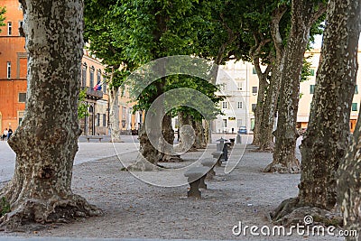 Magnificent summer daily view of the Piazza San Michele Saint Michael square in Lucca, Italy. Editorial Stock Photo
