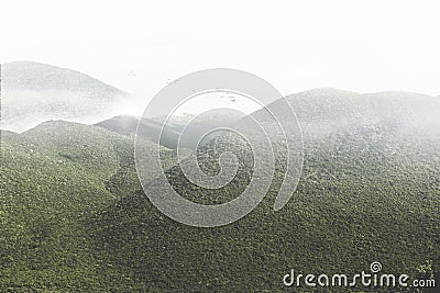 Magnificent view of a green mountain Stock Photo