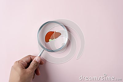 Magnifier focus to liver organ icon, hepatitis vaccination, liver cancer treatment. Stock Photo