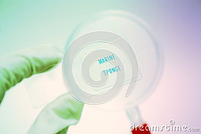 Magnifying Stock Photo