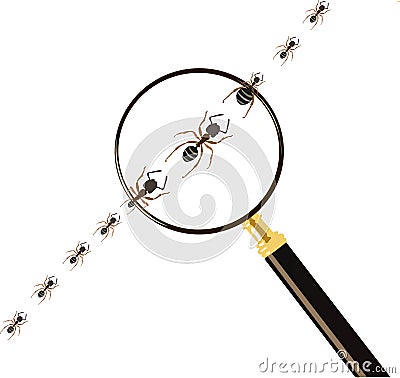 Magnifying and ants Vector Illustration