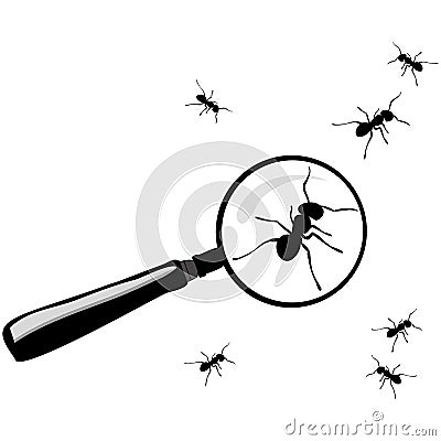 Magnifying glass with ants Stock Photo