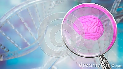 The magnifying glass and Brain for sci or medical. Concept 3d rendering Stock Photo