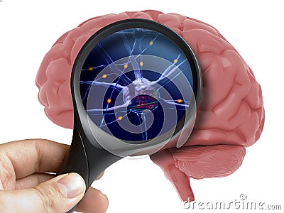 Magnifying glass on human 3d brain neurons activity isolated Stock Photo