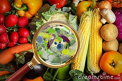 Magnifying glass and illustration of microbes on vegetables. Food poisoning concept Cartoon Illustration