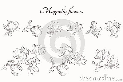 Magnolia flower set. hand drawn contour flourish illustration. floral element for greeting invitation design Vector Illustration