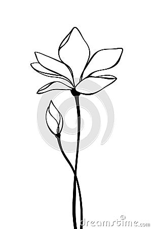 Magnolia flower. Vector black and white line art illustration. Vector Illustration