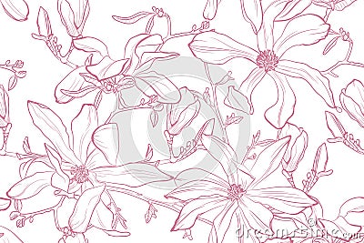 Magnolia flower vector illustration. Seamless pattern with pink flowers on a white background. Cartoon Illustration