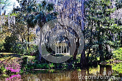 Magnolia gardens and Plantation in Charleston, SC Stock Photo