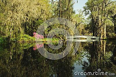 Magnolia Gardens scene with bridge in spring Stock Photo