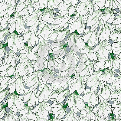 Magnolia pattern, line floral ornament. Snowdrops seamless background. Hand drawn illustration in vintage style Vector Illustration