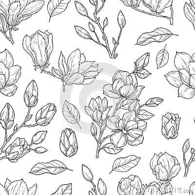 Magnolia pattern. Sketch flower ornate seamless texture. Vintage floral print drawing with botanical elements. Plants Vector Illustration